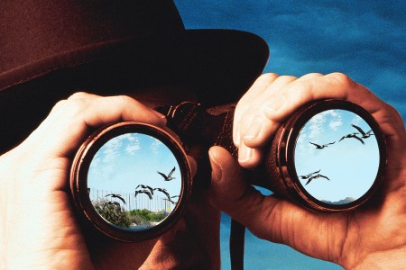 From shorelines to wetlands, Corpus Christi lives up to its nickname