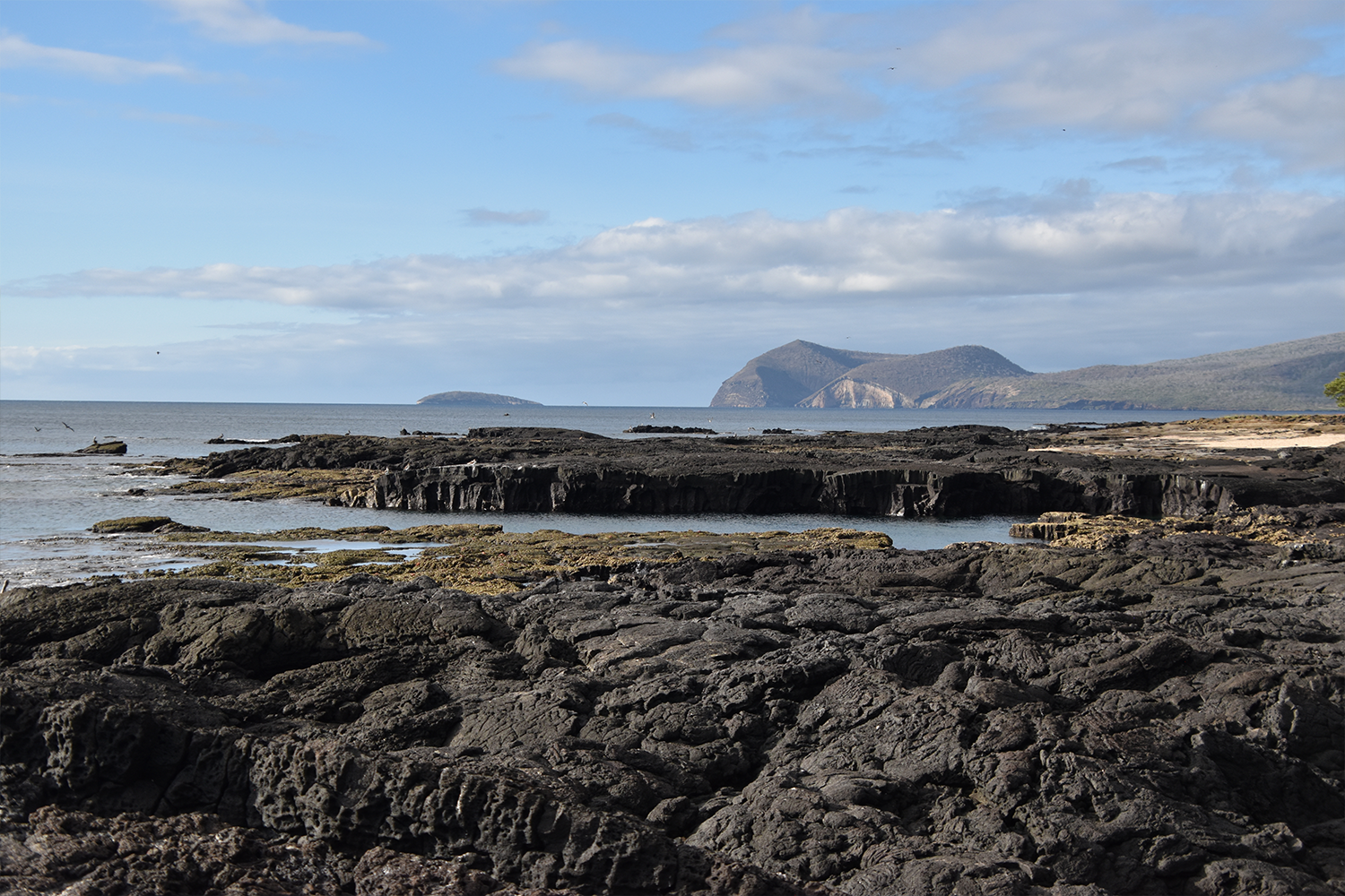 Young lava rock on Fernandina Island, Galapagos