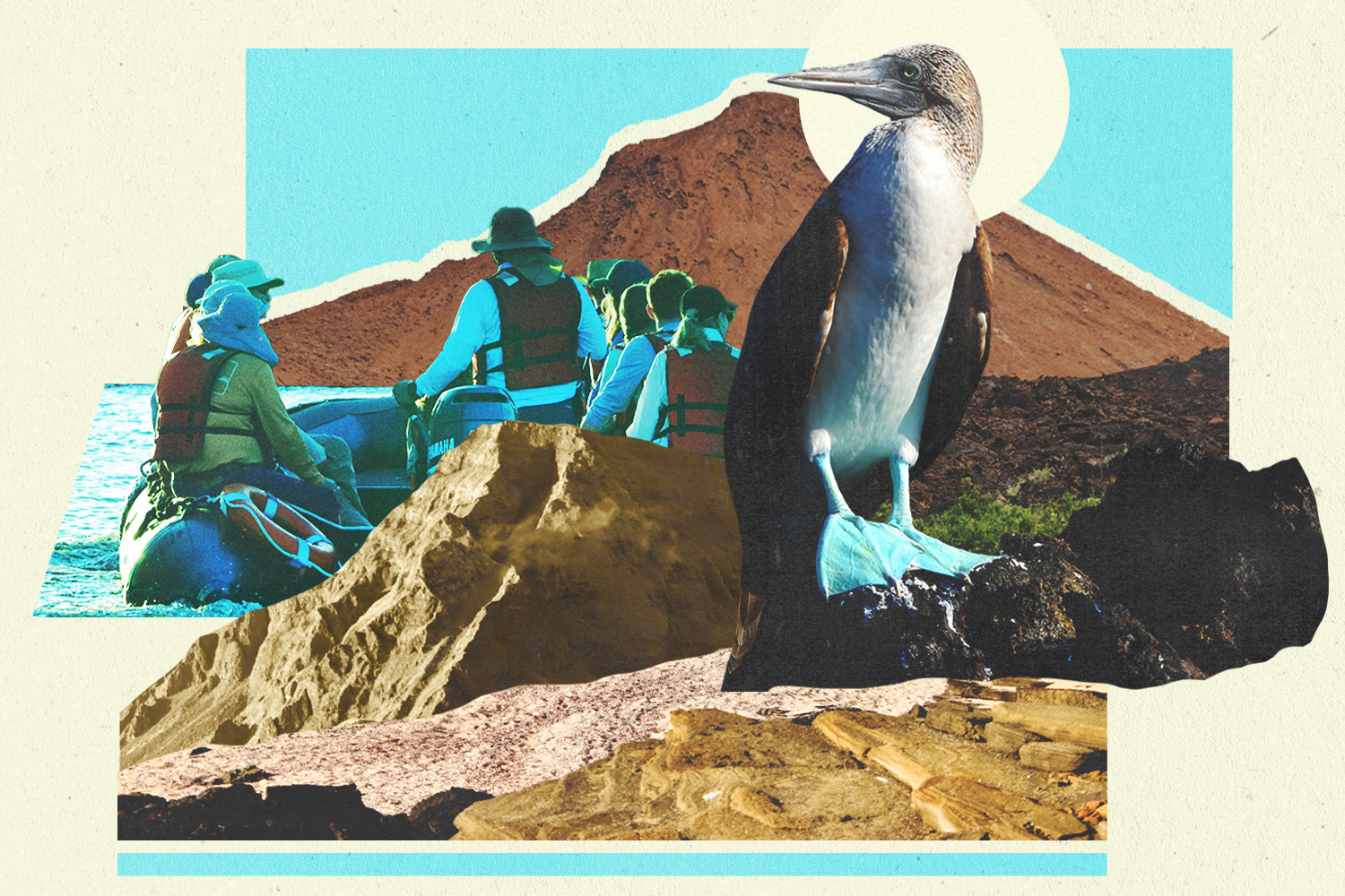 When you grow up believing the world is 6,000 years old, standing where Darwin once did hits a little differently.