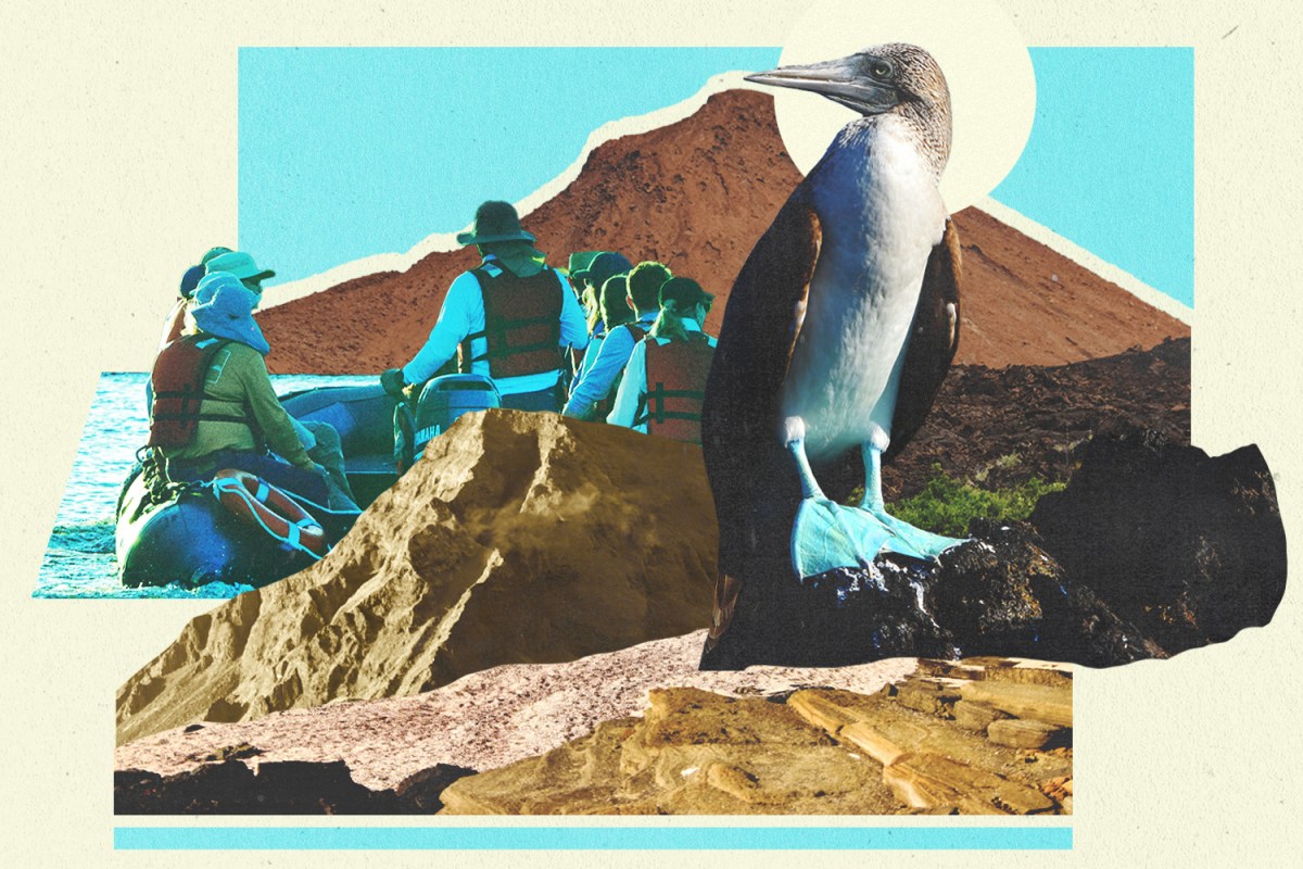 The Galapagos Expedition That Might Challenge Your Views