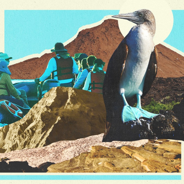 When you grow up believing the world is 6,000 years old, standing where Darwin once did hits a little differently.