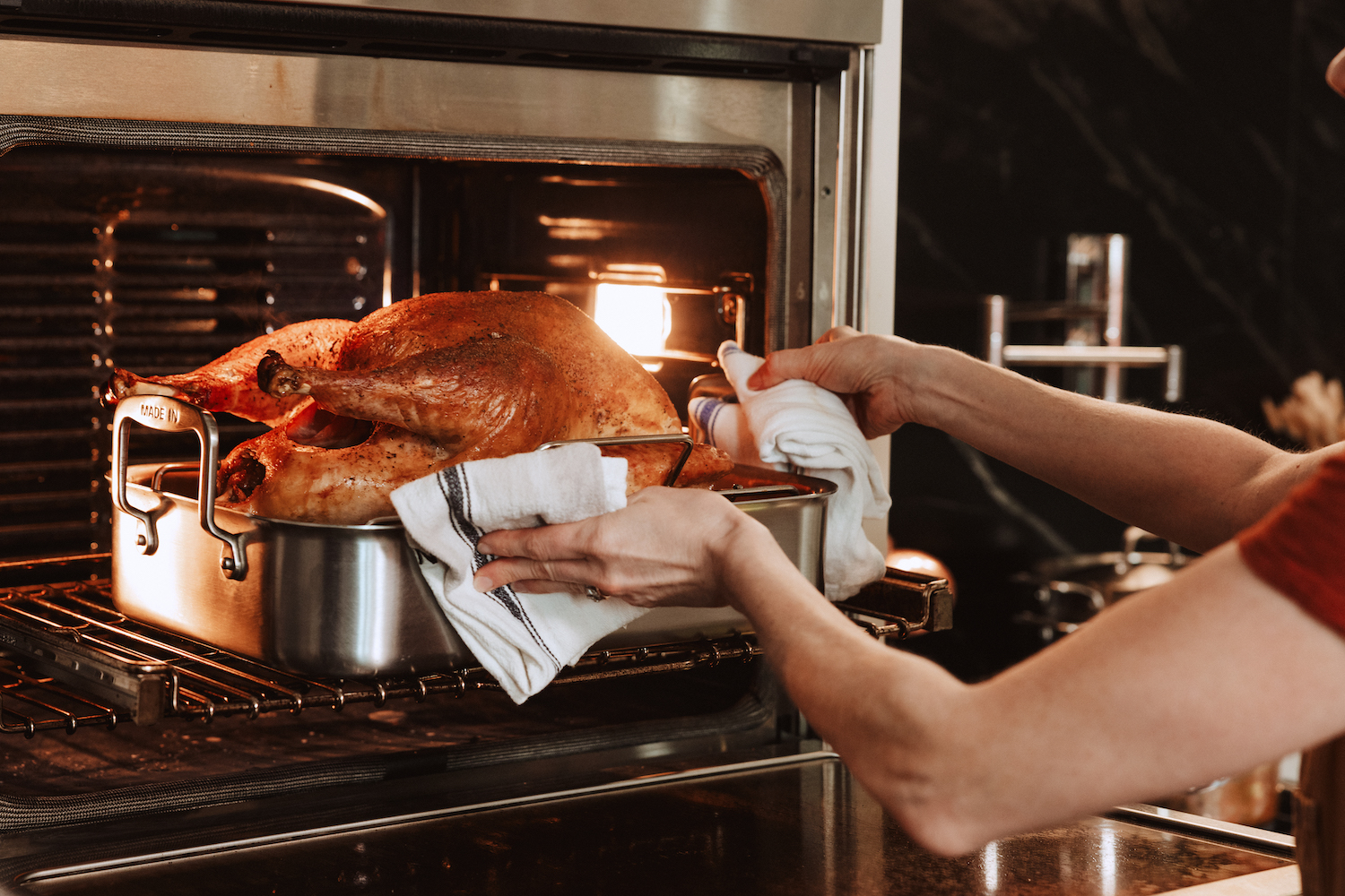 Made In Stainless Clad Roasting Pan
