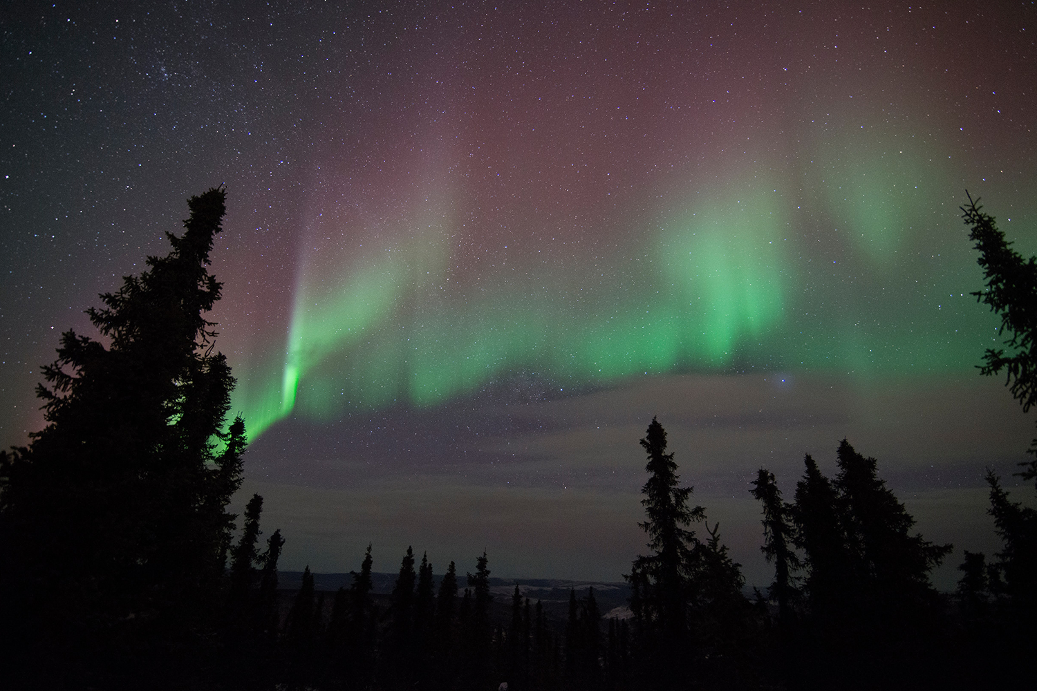 A freeze-your-face night made worth it