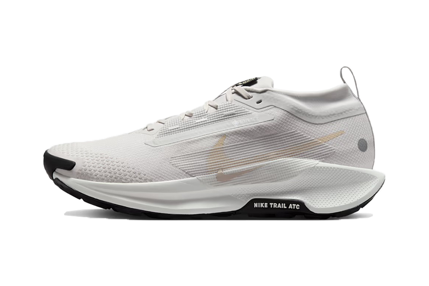 Nike Pegasus Trail 5 GORE-TEX