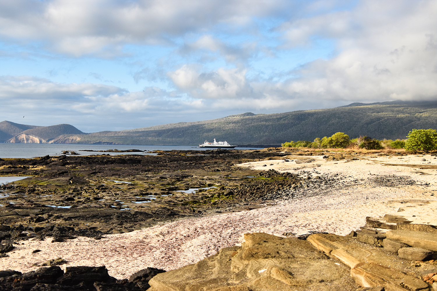 National Geographic Gemini at Santiago Island