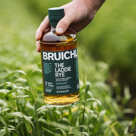 The Laddie Rye by Bruichladdich in a field of rye