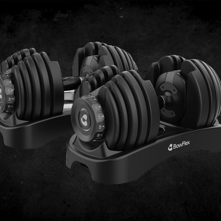 BowFlex 552 Dumbbells