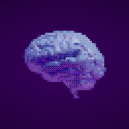 Illustration of human brain