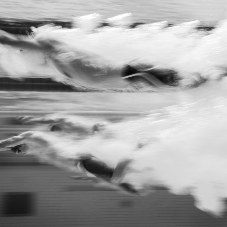 A black and white photo of swimmers competing in a pool.