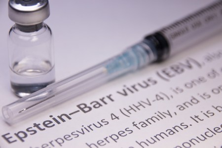 Medical tools and information on the Epstein-Barr virus.