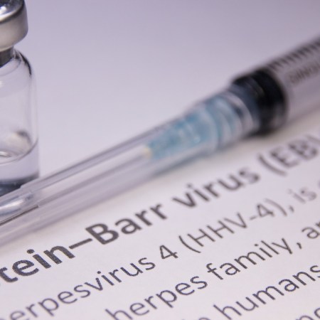 Medical tools and information on the Epstein-Barr virus.