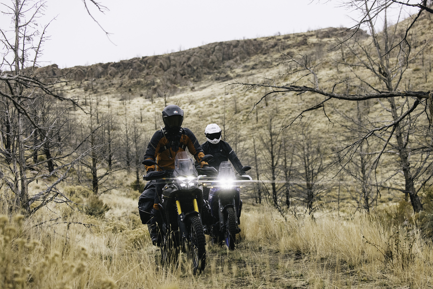 Two men on motorcycles.