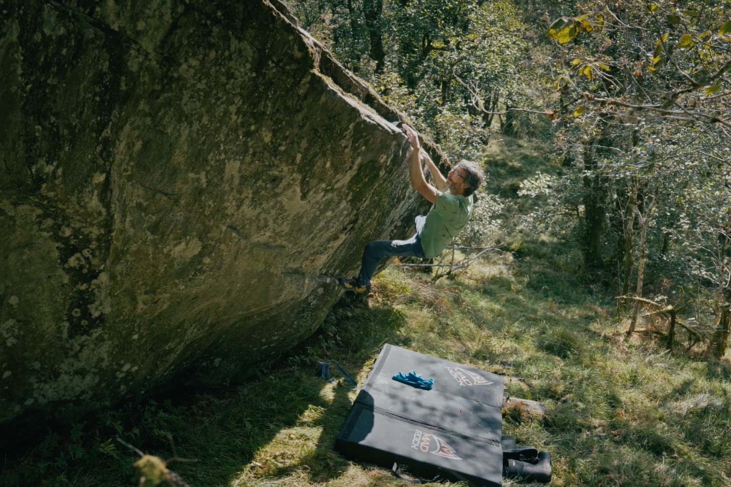 A side view of Hamper hanging on to a low stone wall.