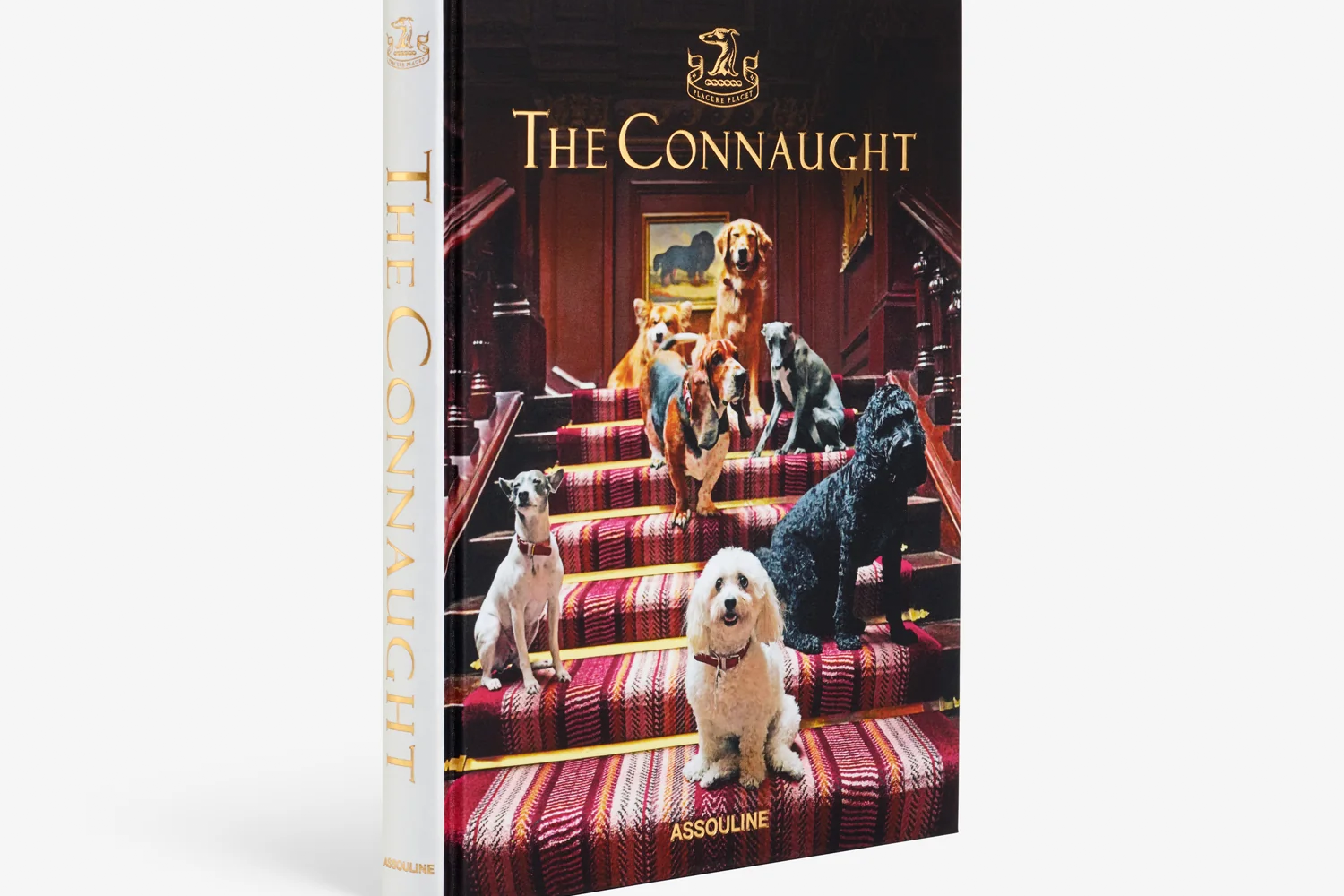 <em>The Connaught</em>