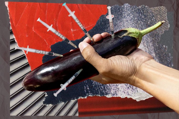 An eggplant with needles sticking in it.