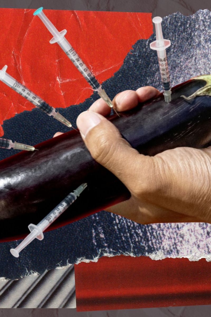 An eggplant with needles sticking in it.