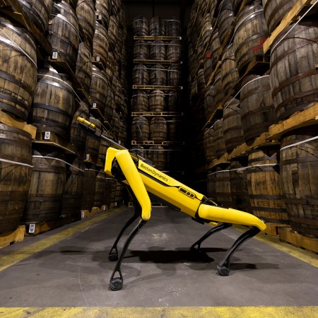 A Boston Dynamics Spot robot dog at a Bacardi whisky-aging warehouse