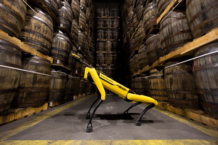 A Boston Dynamics Spot robot dog at a Bacardi whisky-aging warehouse