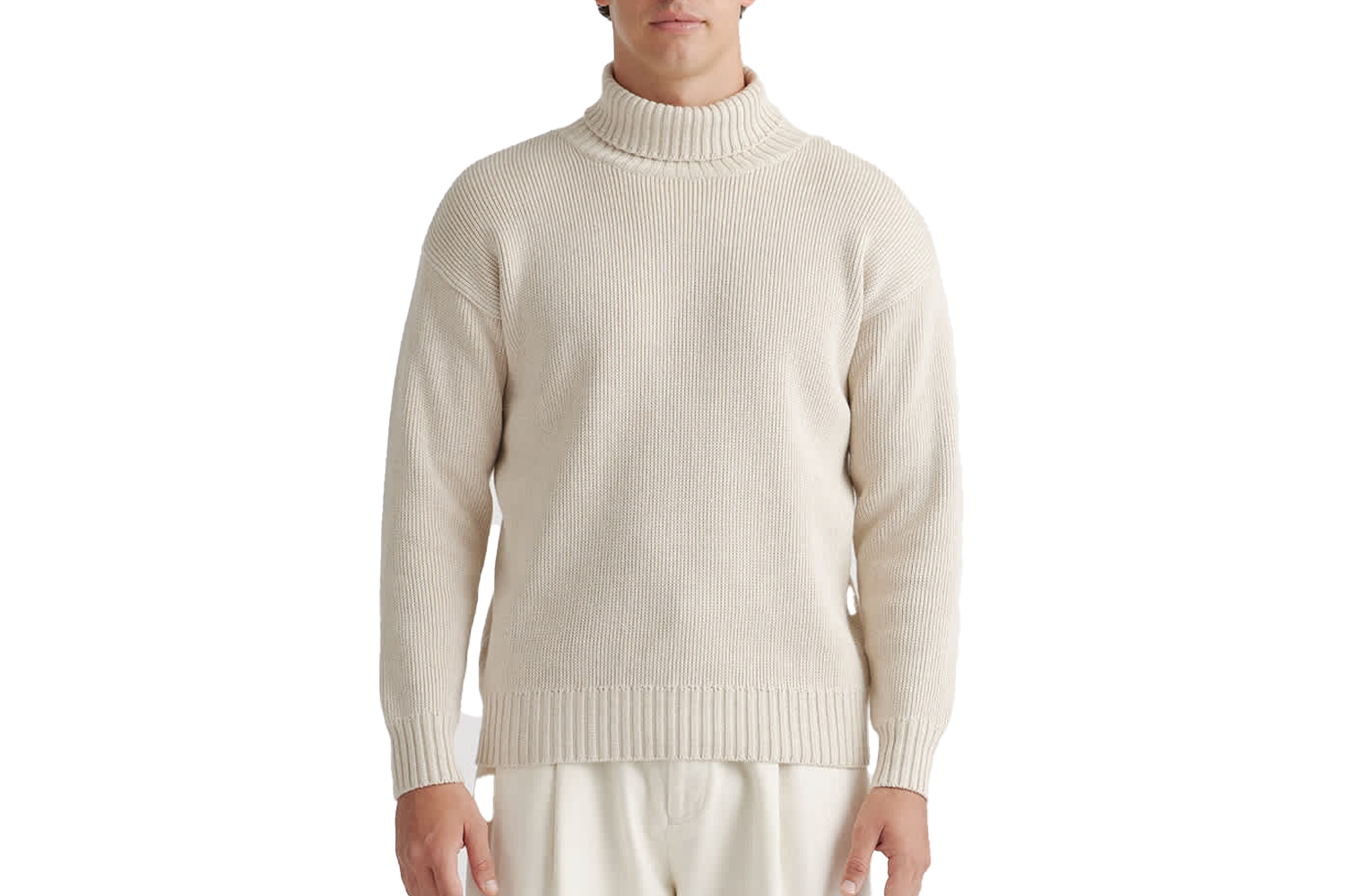 Quince 100% Organic Cotton Turtleneck Sweater