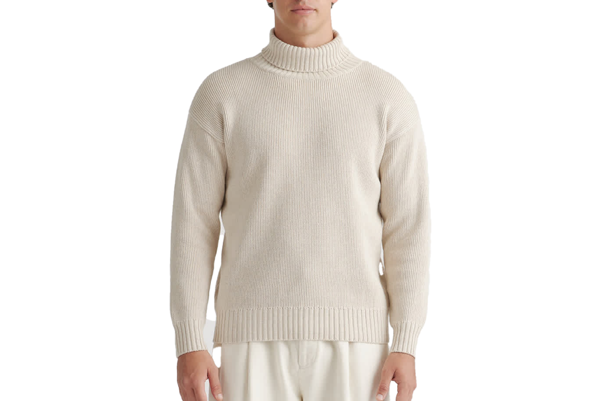 Quince 100% Organic Cotton Turtleneck Sweater