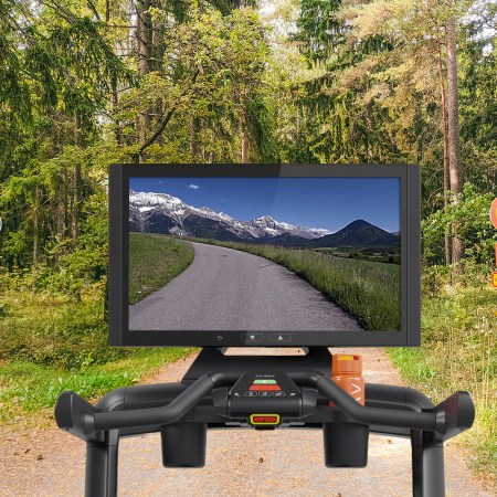 A treadmill screen from the Aviron Victory Treadmill Plus superimposed on a woodland trail.