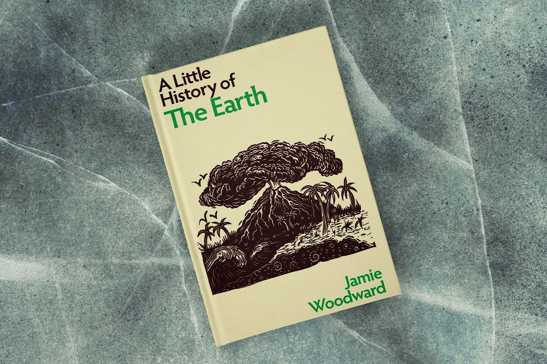 Jamie Woodward, A Little History of the Earth