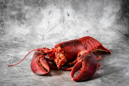 Lobster Heist Nets Nearly Half a Million Dollars of Stolen Seafood