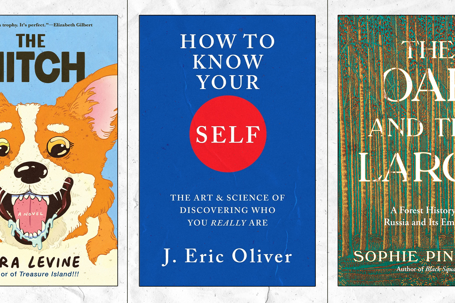 January 2026 book covers