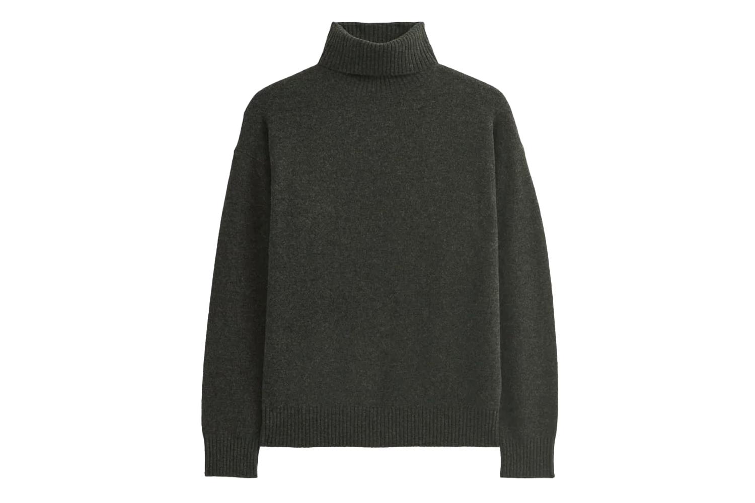 Everlane Luxe Merino Relaxed Turtleneck