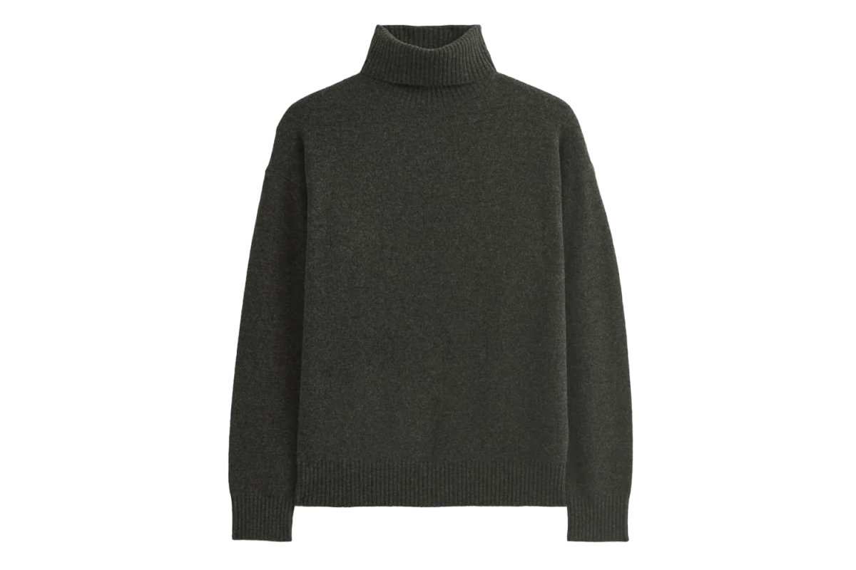 Everlane Luxe Merino Relaxed Turtleneck