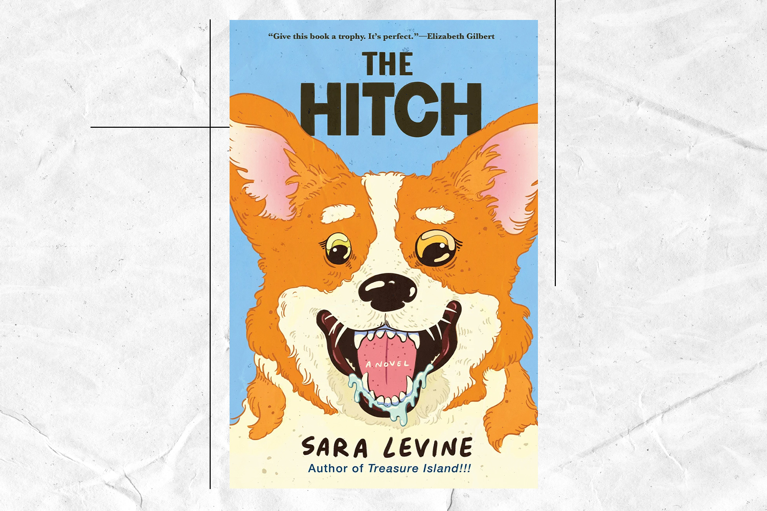 Sara Levine, The Hitch