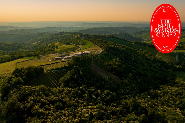 The Gaja vineyard in Alta Langa