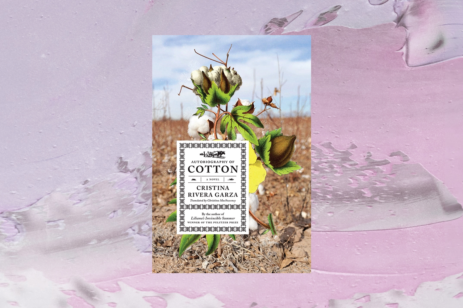 Cristina Rivera Garza, Autobiography of Cotton