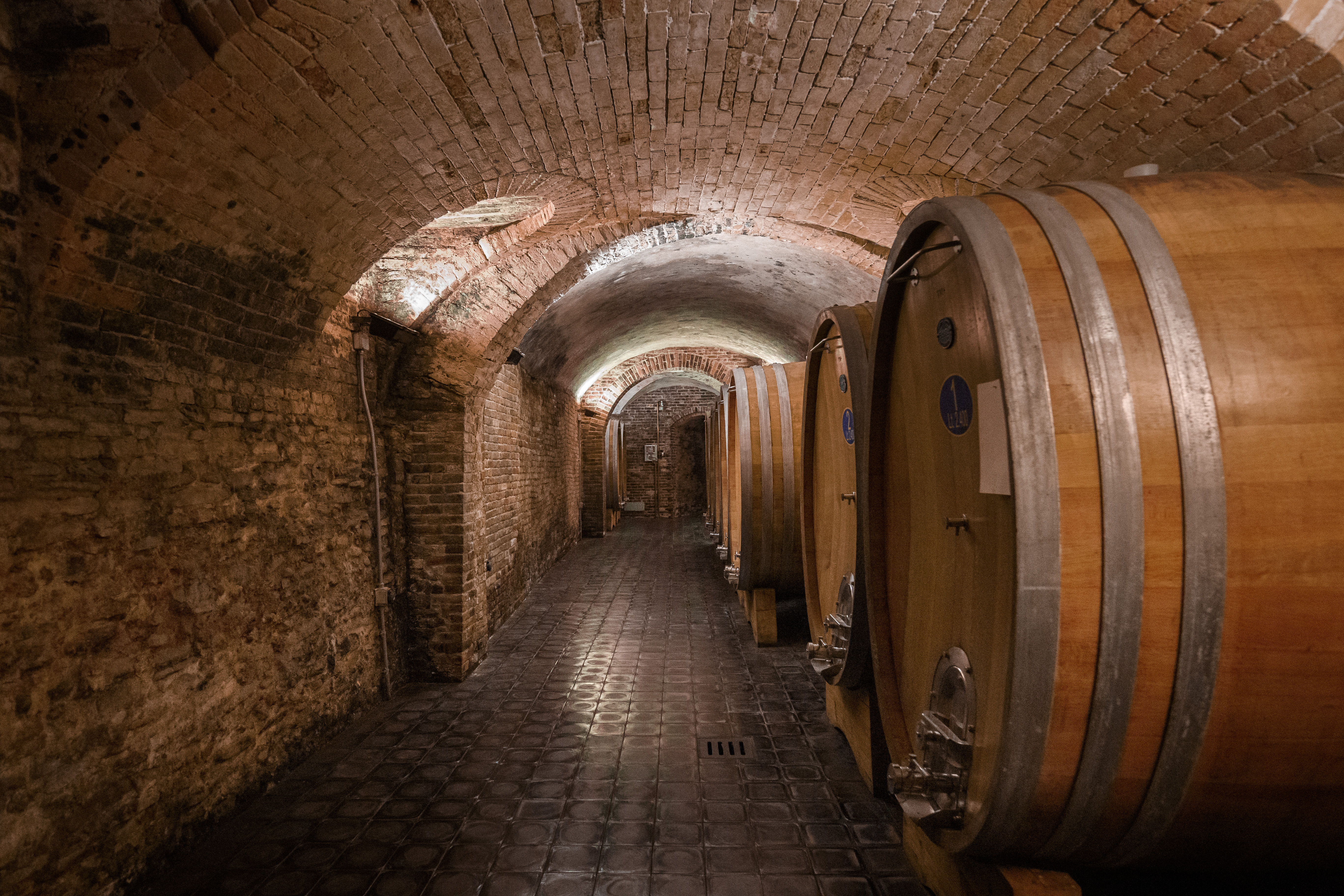 Gaja's Barbaresco quietly aging