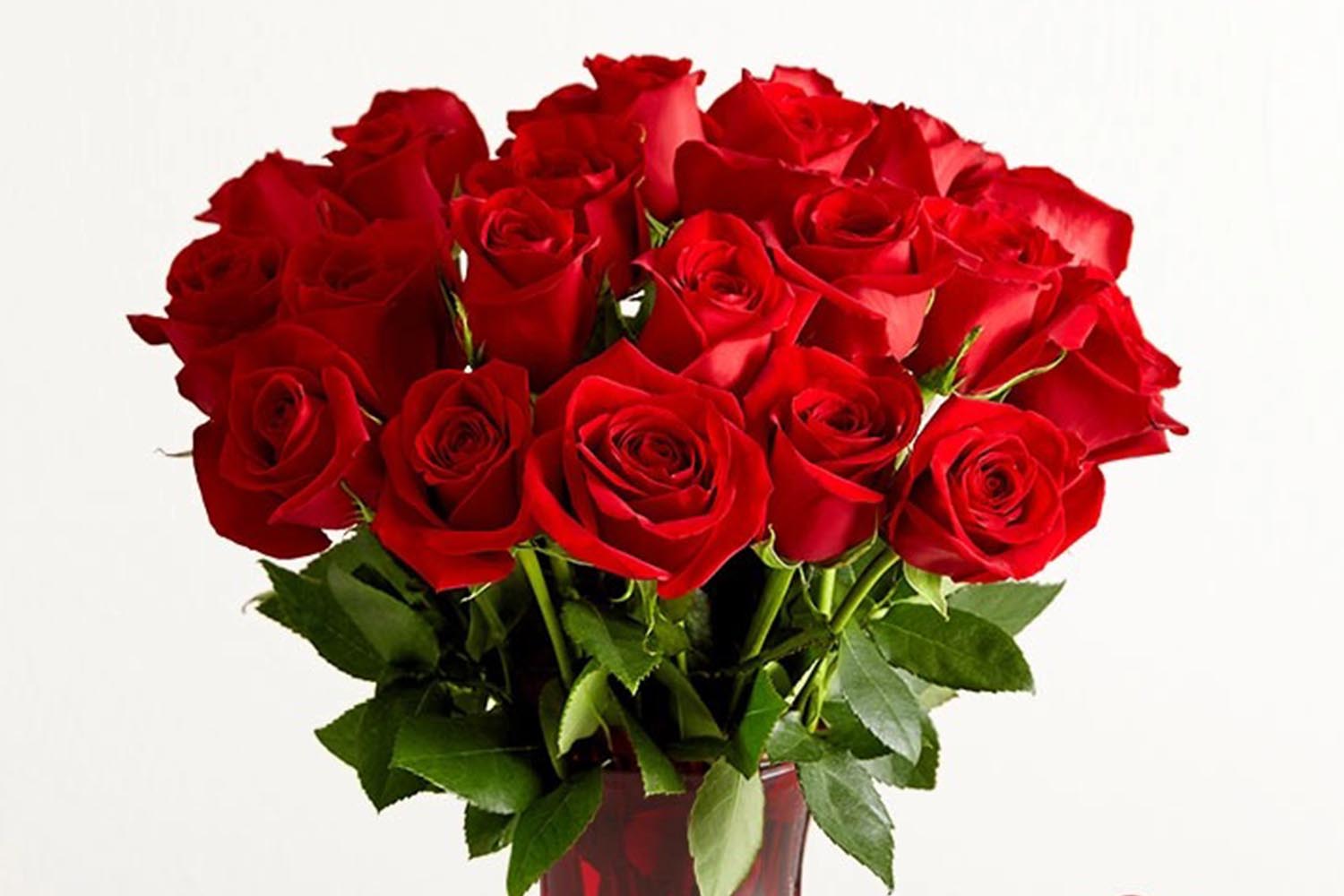 Your Classic Choice: Romantic Red Roses