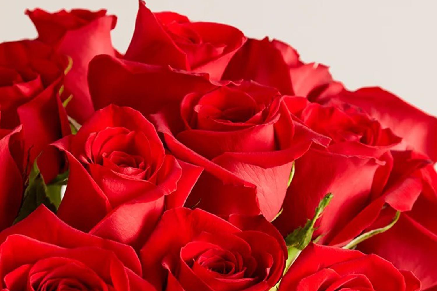 The Romantic Red Roses bouquet from 1-800-Flowers