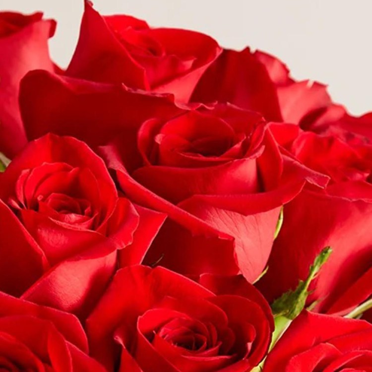 The Romantic Red Roses bouquet from 1-800-Flowers