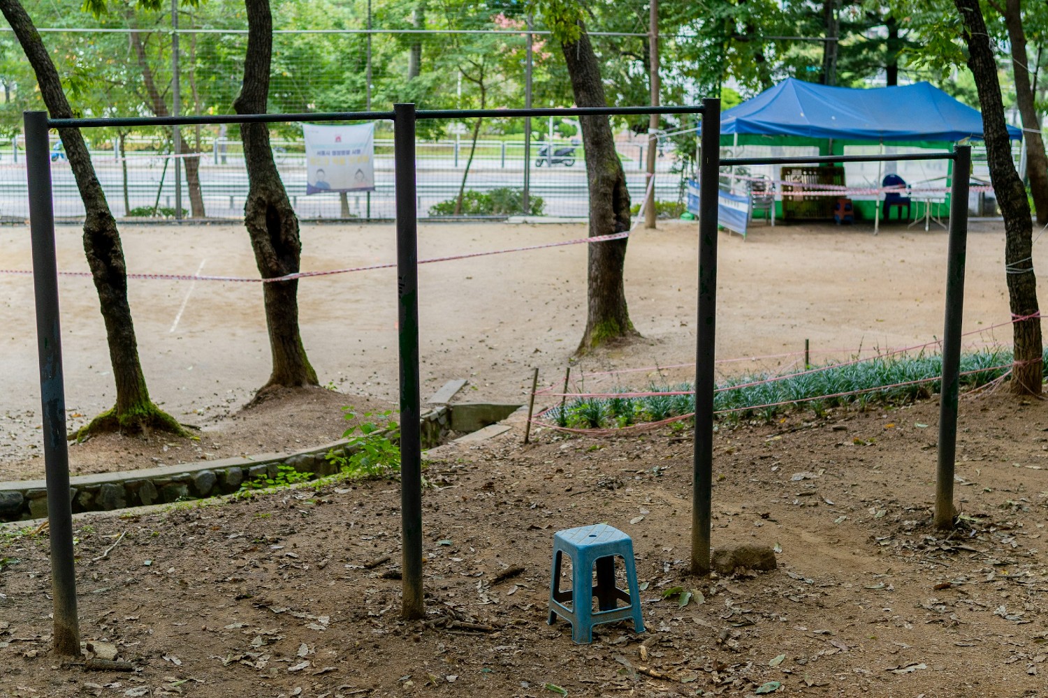 Pull-up bars in a park