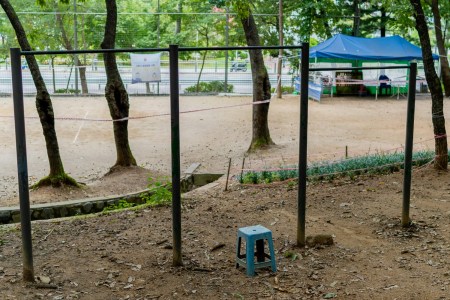 Pull-up bars in a park