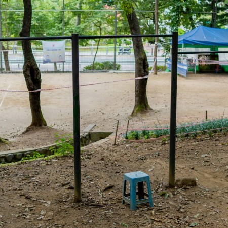 Pull-up bars in a park