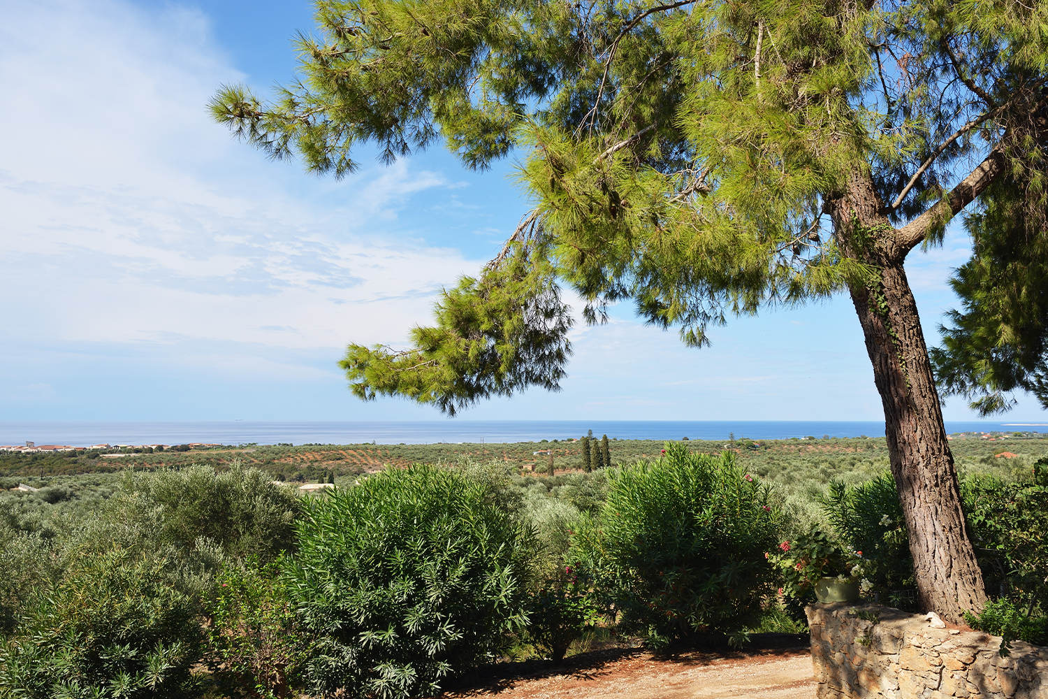 Rural Costa Navarino