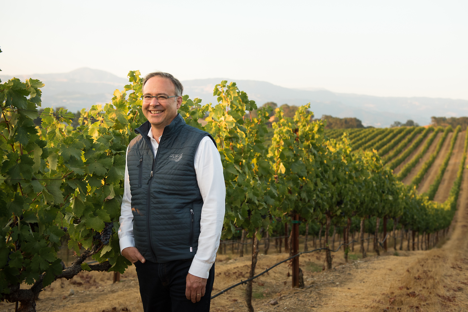 Tim Bell dry creek vineyard