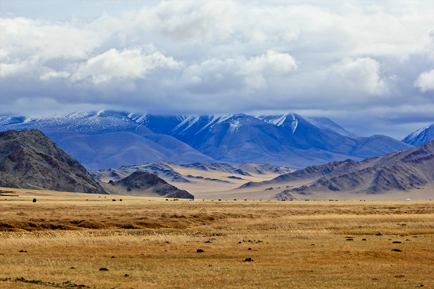 Altai Mountains, Mongolia