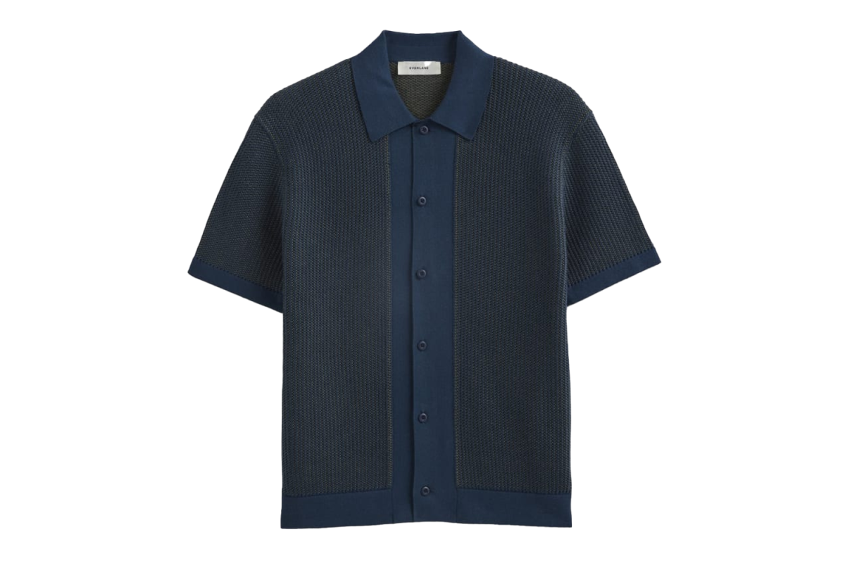 Everlane Button-Down Resort Polo