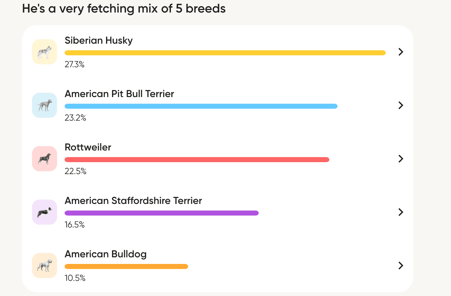 Dog DNA test results