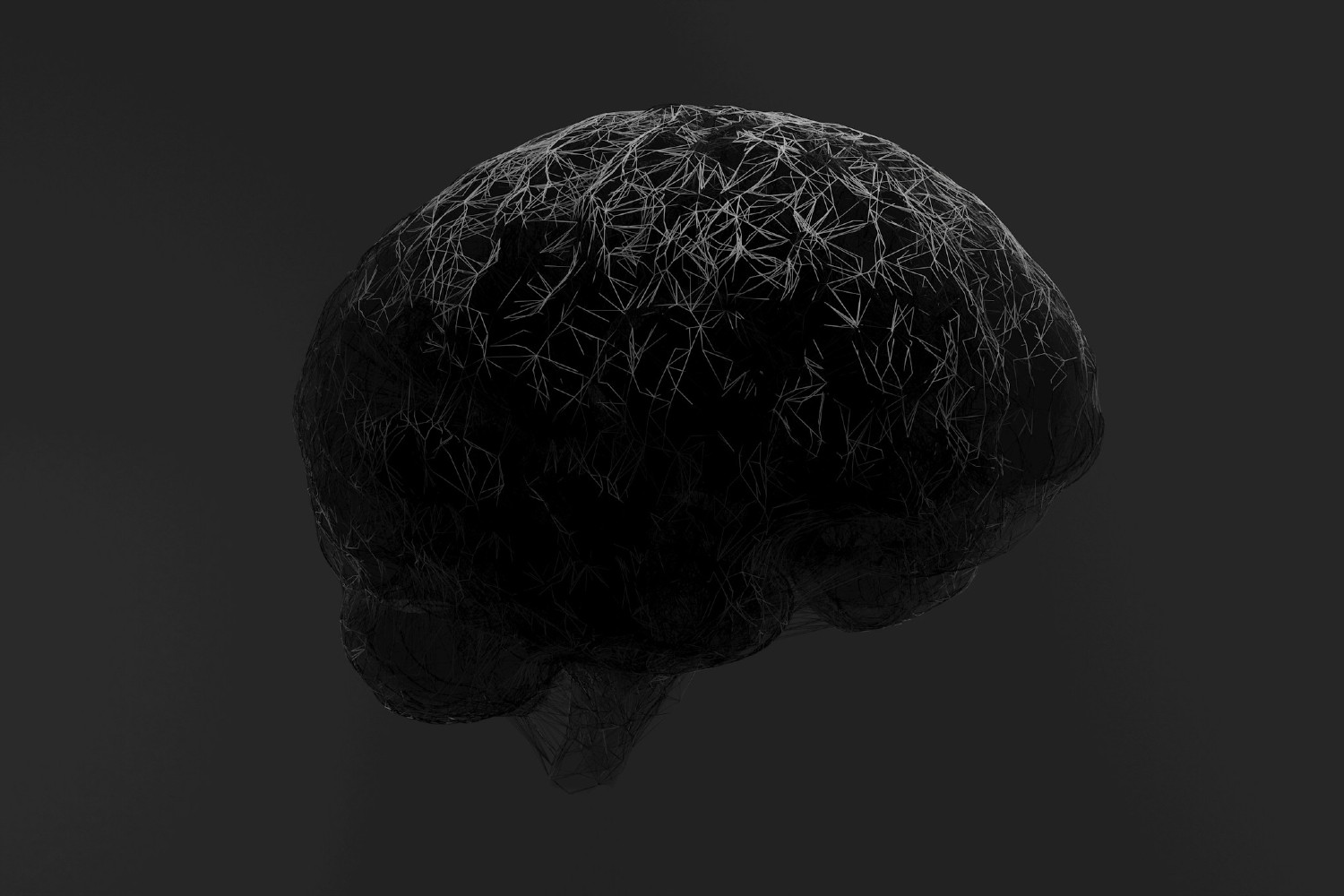 Model of the human brain