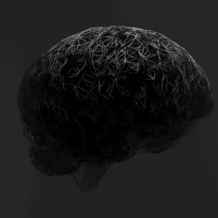 Model of the human brain