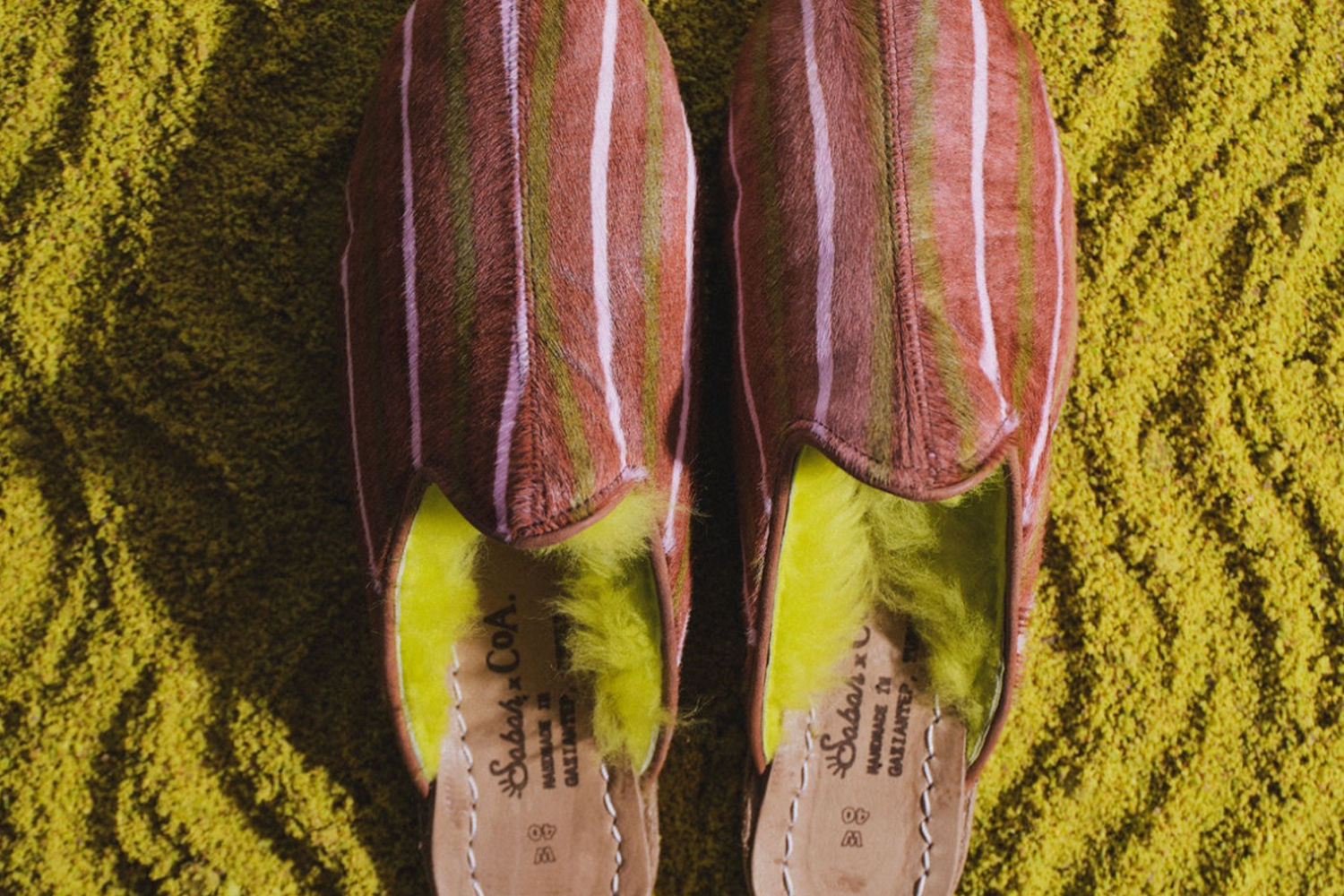 Sabah x Colors of Arley