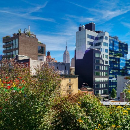 Buildings in Manhattan