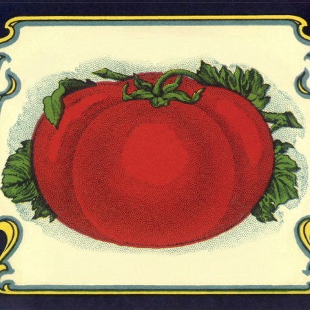 an illustration of a tomato surrounded by a decorative border